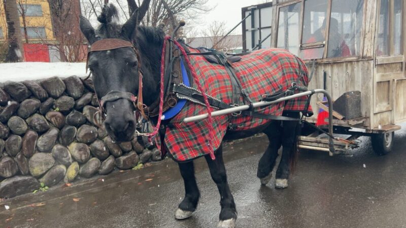 ストーブ馬車