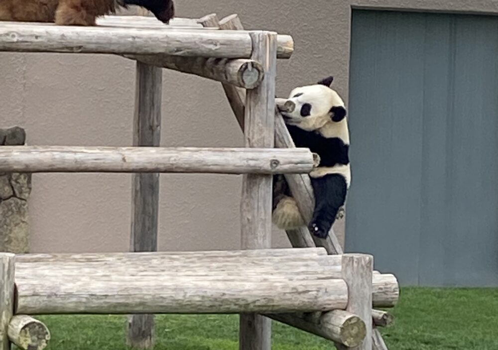 アドベンチャーワールド